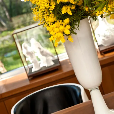 Sikyon Coast And 4* Xylokastro